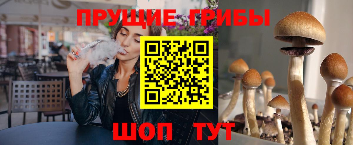 Карабулак  Псилоцибиновые грибы мицелий  Вход с VPN 